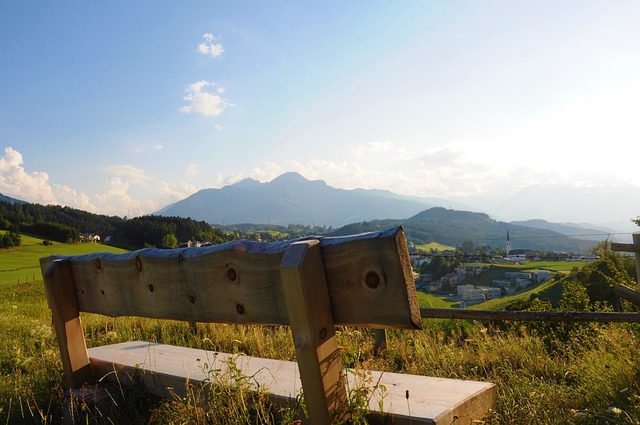 条款或一
