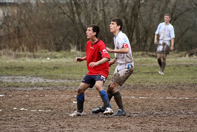 球队近况分 球队近况分