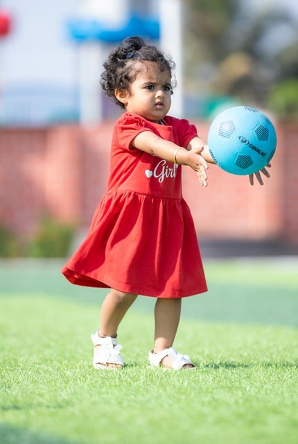 并行不悖 并行不悖