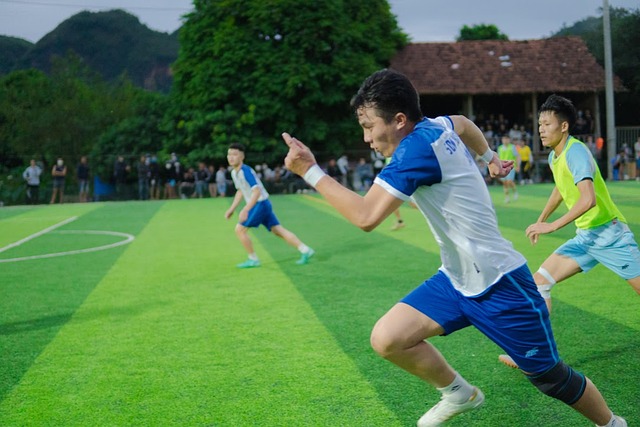 他们或许会 他们或许会