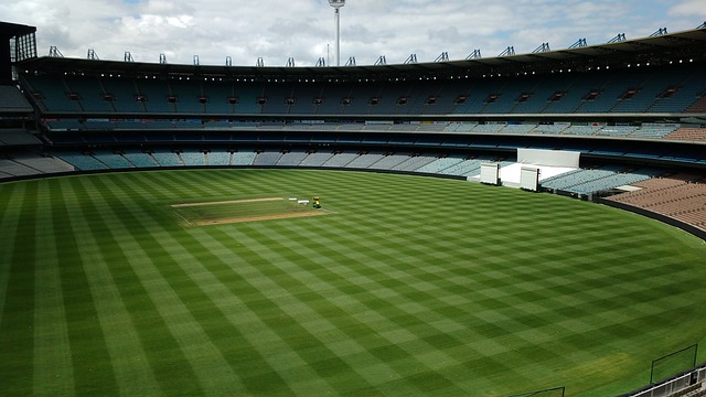 为老球迷重 为老球迷重