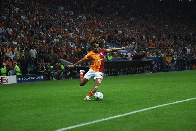 岁月流转 岁月流转